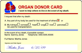 Organ Donor Card